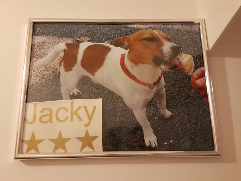 Jacky - City Centar Zagreb Eksteriør bilde